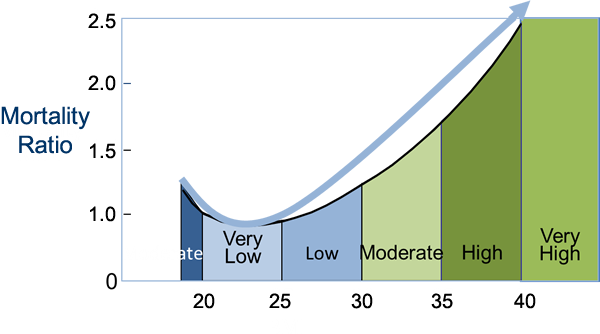 Mortality Ratio for Obese People